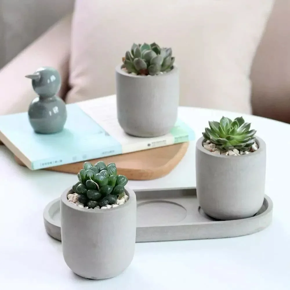 Set of 3 Succulent Planters 2.9